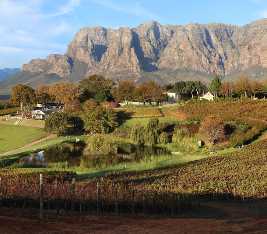 Alluvia Boutique Winery and Luxury Accommodation